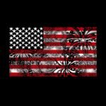 LA-Pop-Art-Women_27s-Premium-Blend-Word-Art-T-shirt-Fireworks-American-Flag_f441e0c2-ef9c-42d5-ade1-0e8d42cb1283